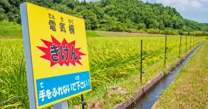 害獣対策8選!被害の例や注意点も紹介