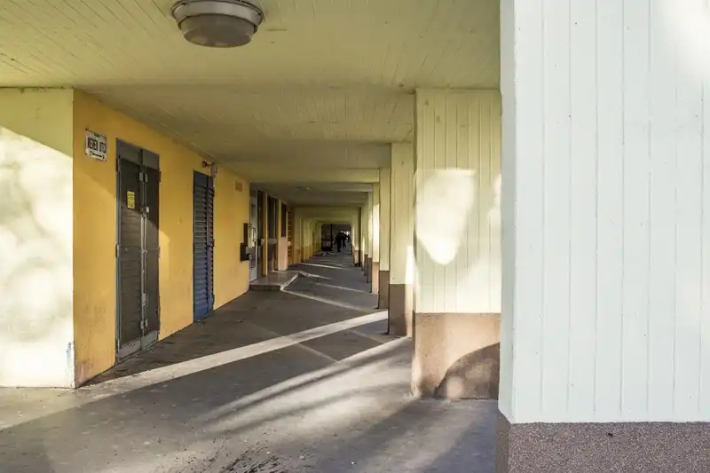 ネズミがマンションに出たら、管理者・管理組合に相談