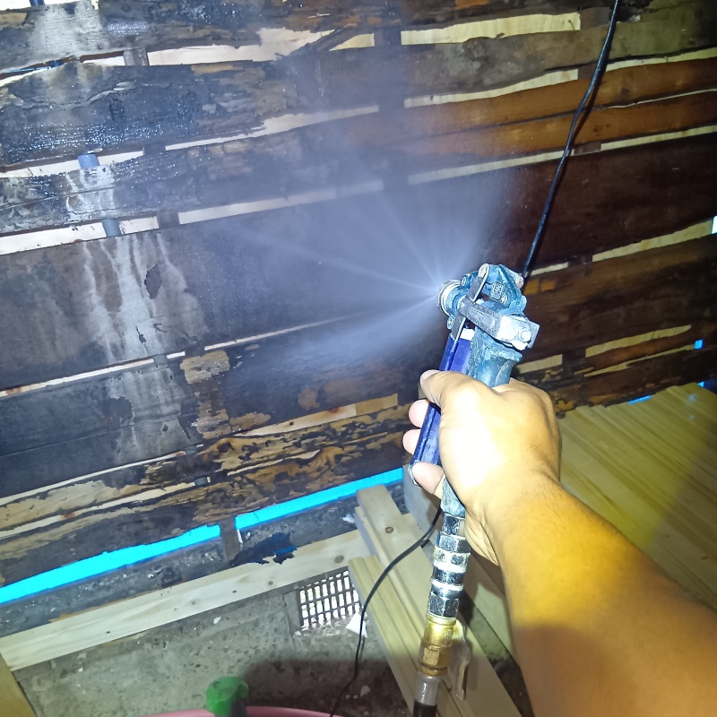 腐食した木部にシロアリ駆除剤を散布