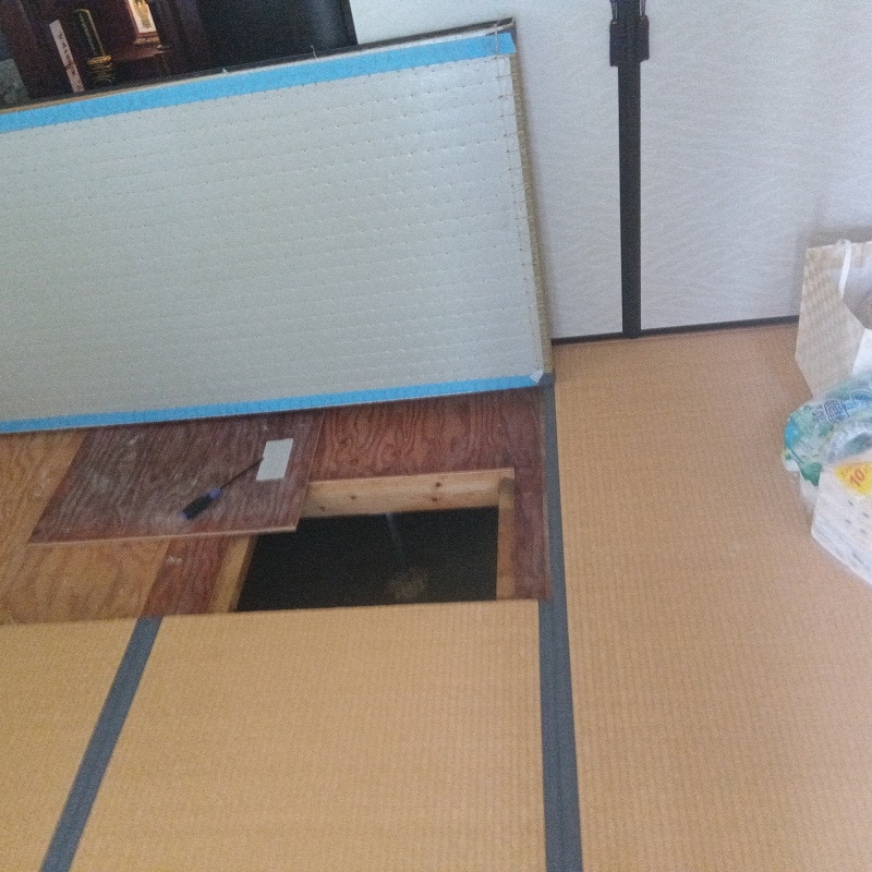 畳下の床を切り抜いた様子