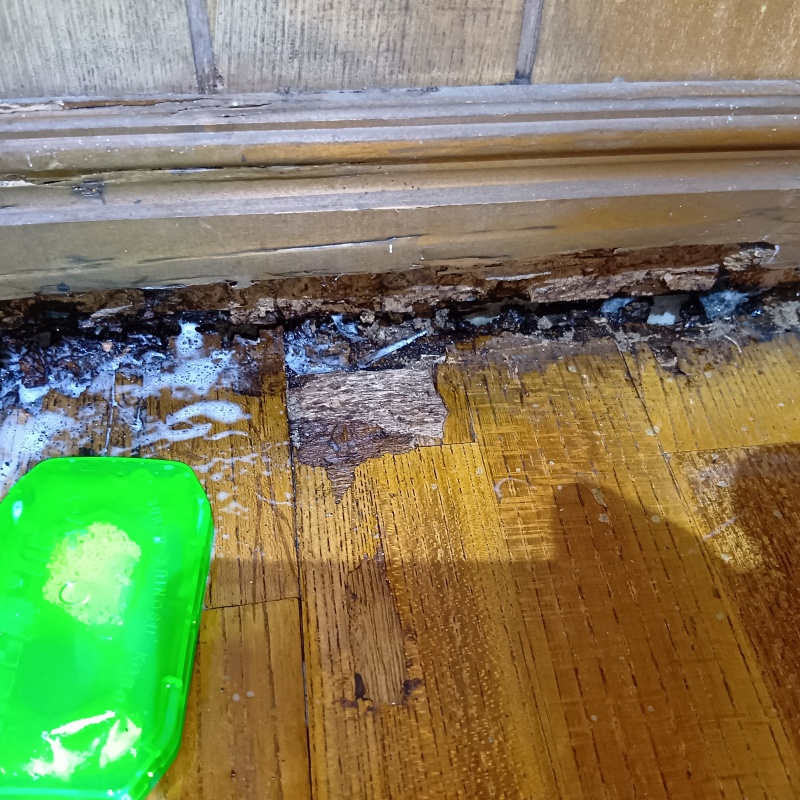 築年数40年のシロアリ駆除の施工事例（大阪府大阪市淀川区田川）
