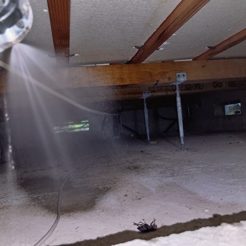 床下の地面に防蟻剤を散布