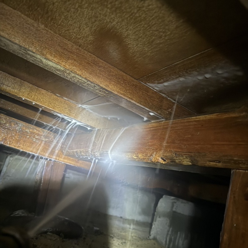 床下の木材にシロアリ駆除剤を散布