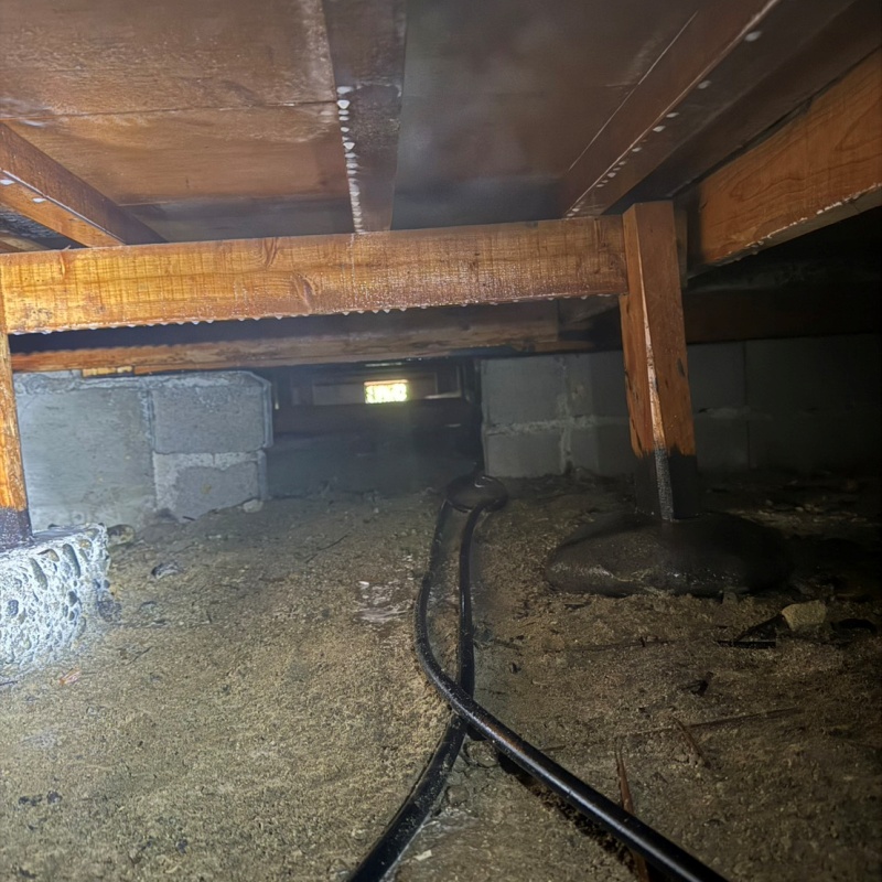 土壌処理が完了した様子