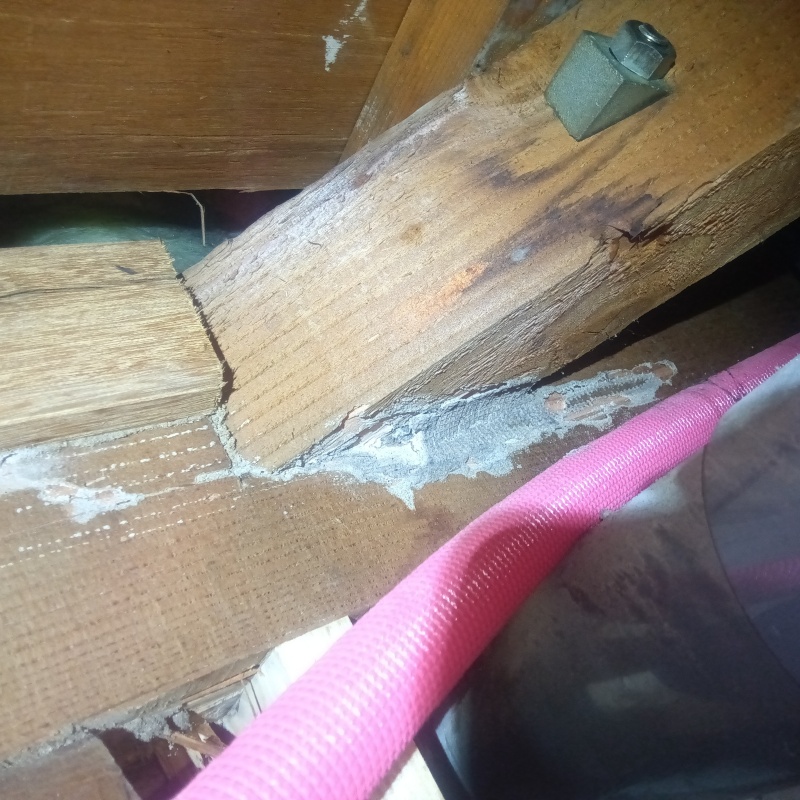 築年数26年のシロアリ駆除の施工事例（大阪府八尾市）