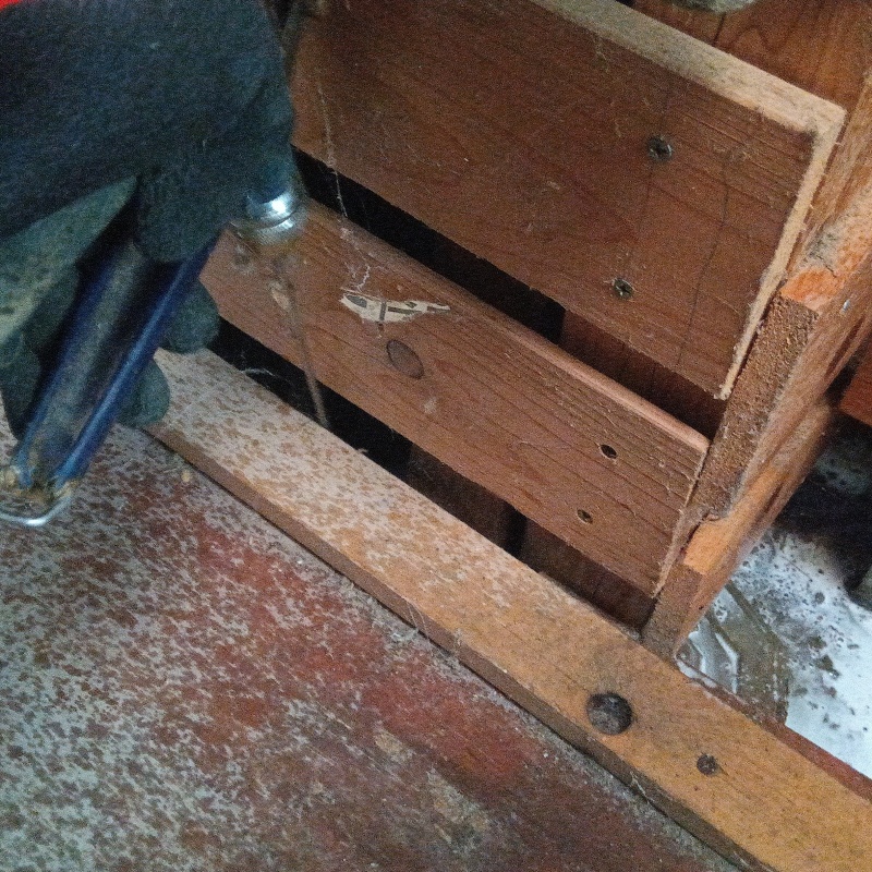 築年数90年のシロアリ駆除の施工事例（岡山県岡山市北区福崎）