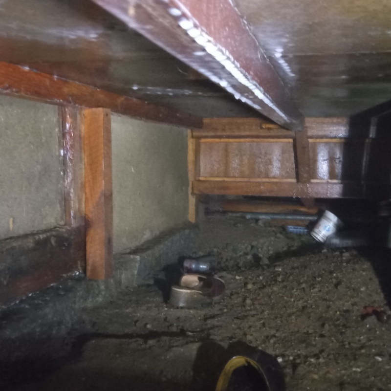 土壌処理が完了した様子