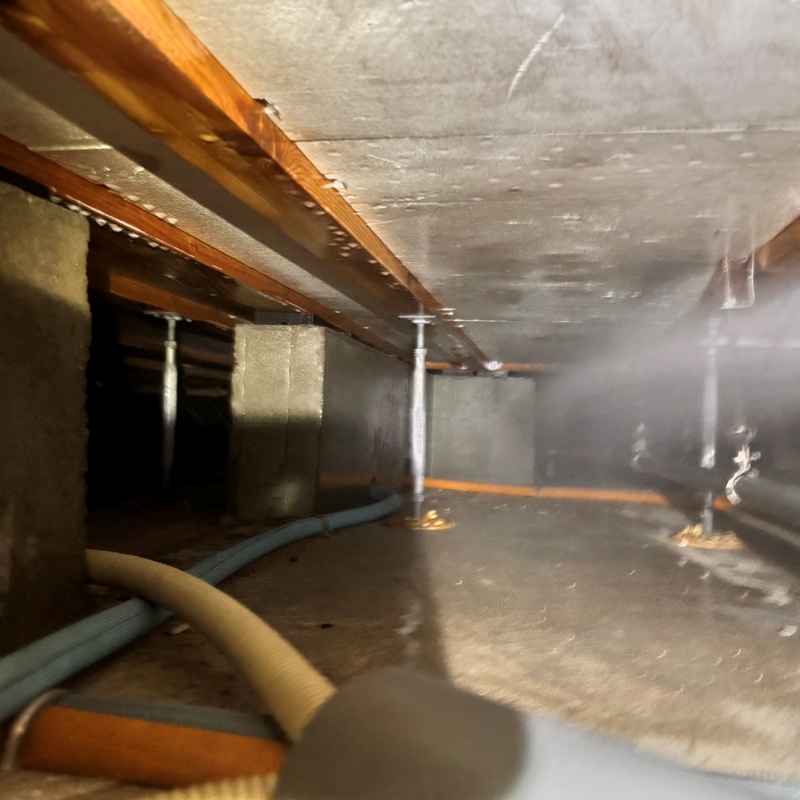 床下の木材にシロアリ駆除剤を散布