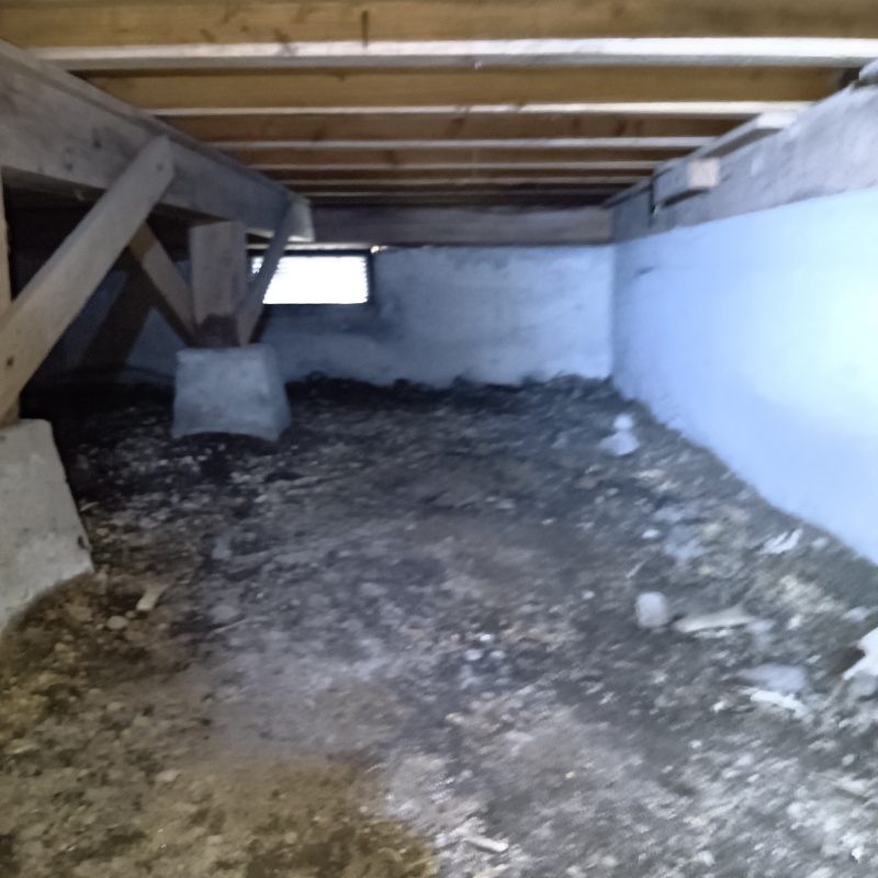 土壌処理が完了した様子