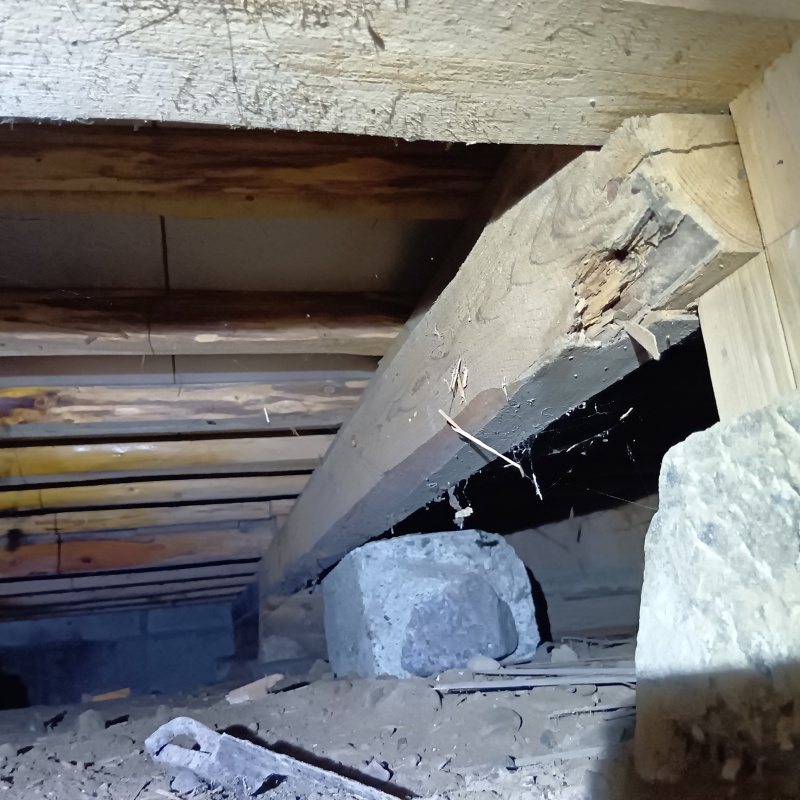 シロアリ駆除の施工事例（栃木県栃木市梅沢町）