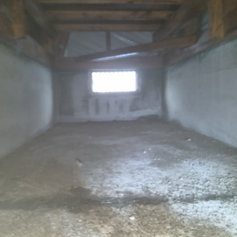 土壌処理が完了した様子