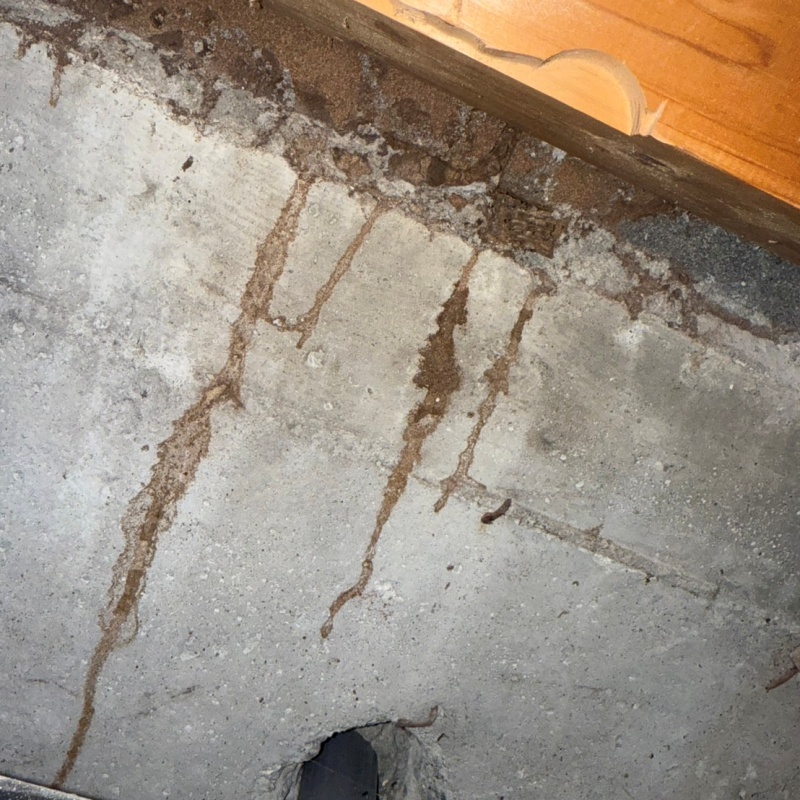 シロアリ駆除の施工事例（富山県下新川郡入善町小摺戸）