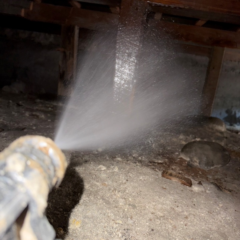 床下の木材にシロアリ駆除剤を散布