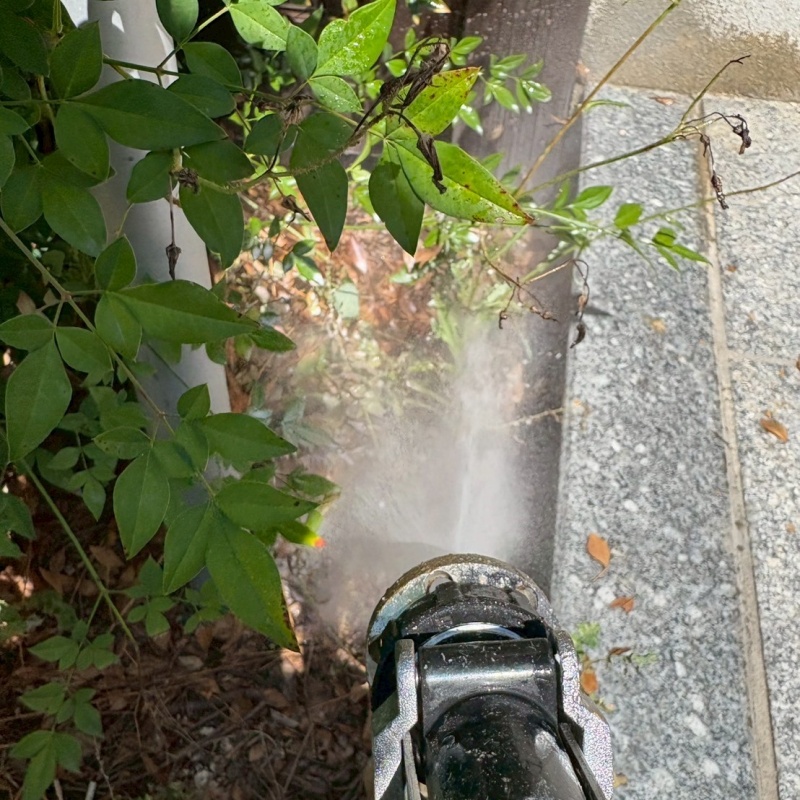 庭の地面にシロアリ駆除剤を散布