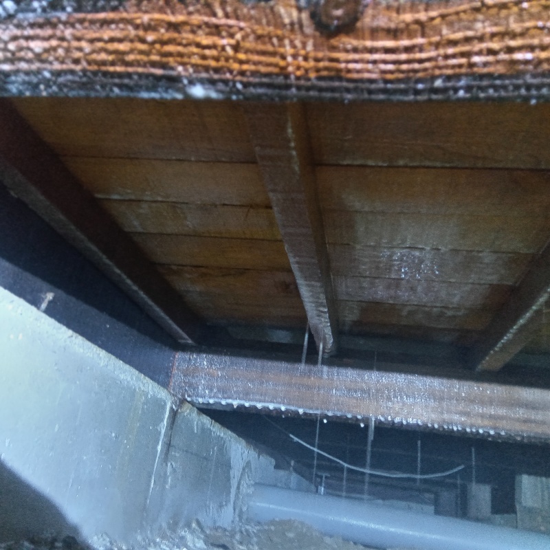 築年数50年のシロアリ駆除の施工事例（広島県広島市佐伯区五日市町皆賀）
