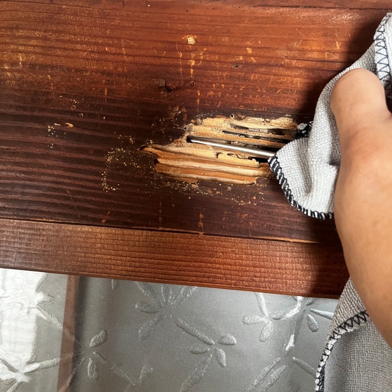 シロアリ駆除の施工事例（佐賀県唐津市神田）