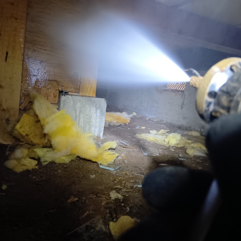 床下木材にシロアリ駆除剤を散布