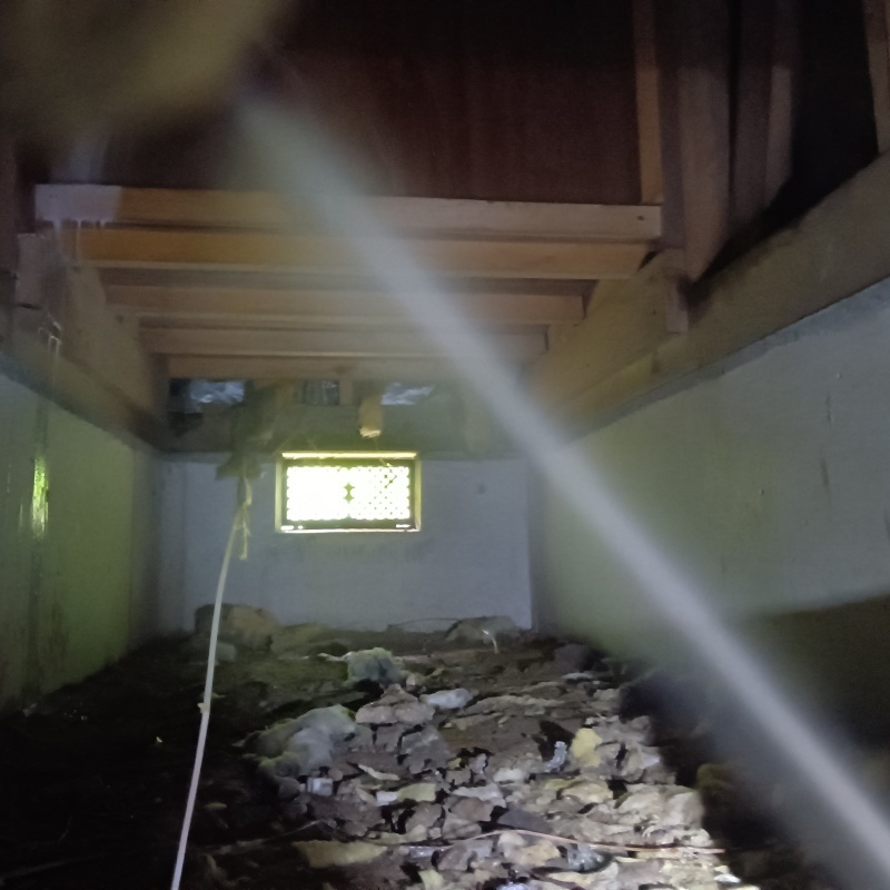 床下木材にシロアリ駆除剤を散布