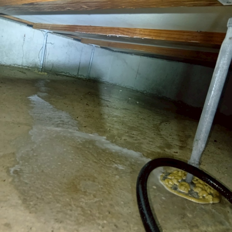 地面・基礎に防蟻剤を吹き付ける様子