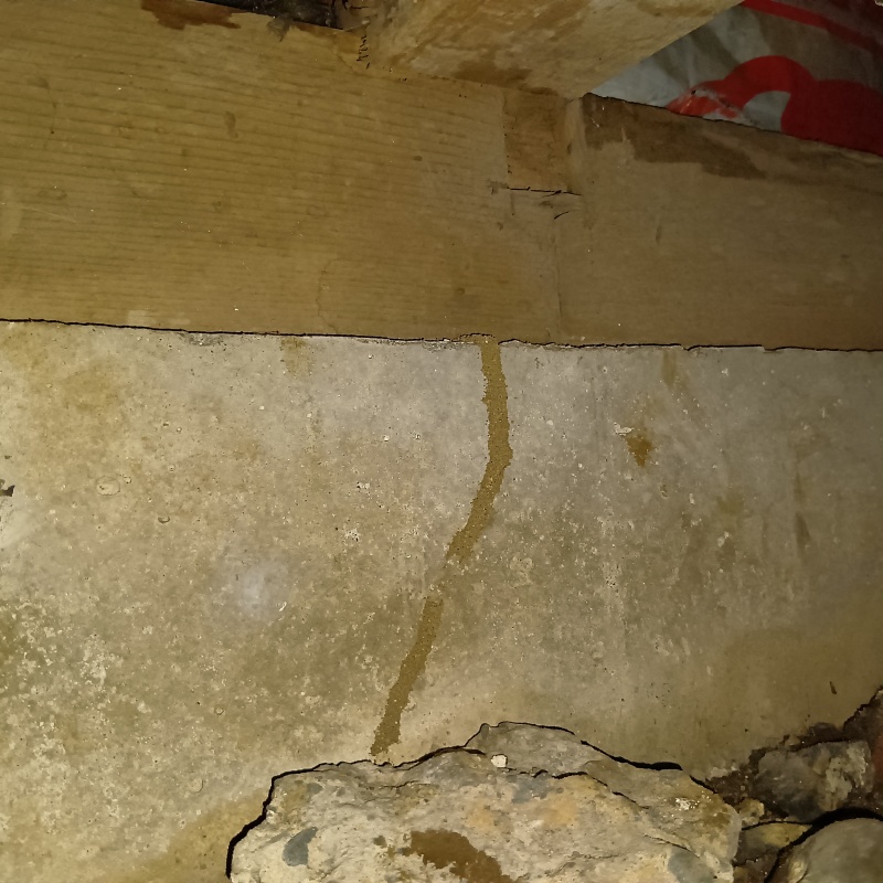 シロアリ駆除の施工事例（東京都小金井市前原町）