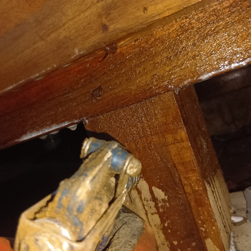 床下木材にシロアリ駆除剤を吹き付ける様子