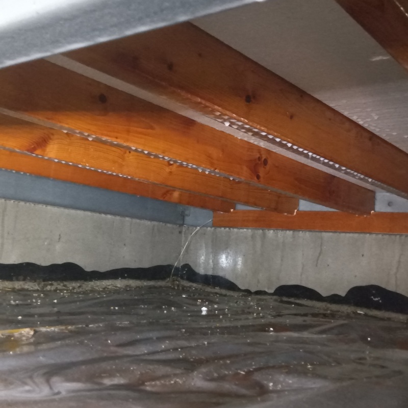 木部処理が完了した様子