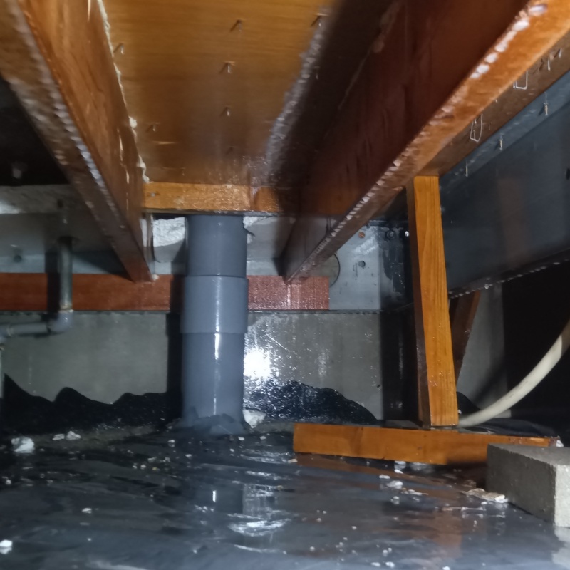 土壌処理が完了した様子