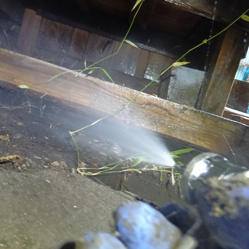 床下木材にシロアリ駆除剤を吹き付ける様子