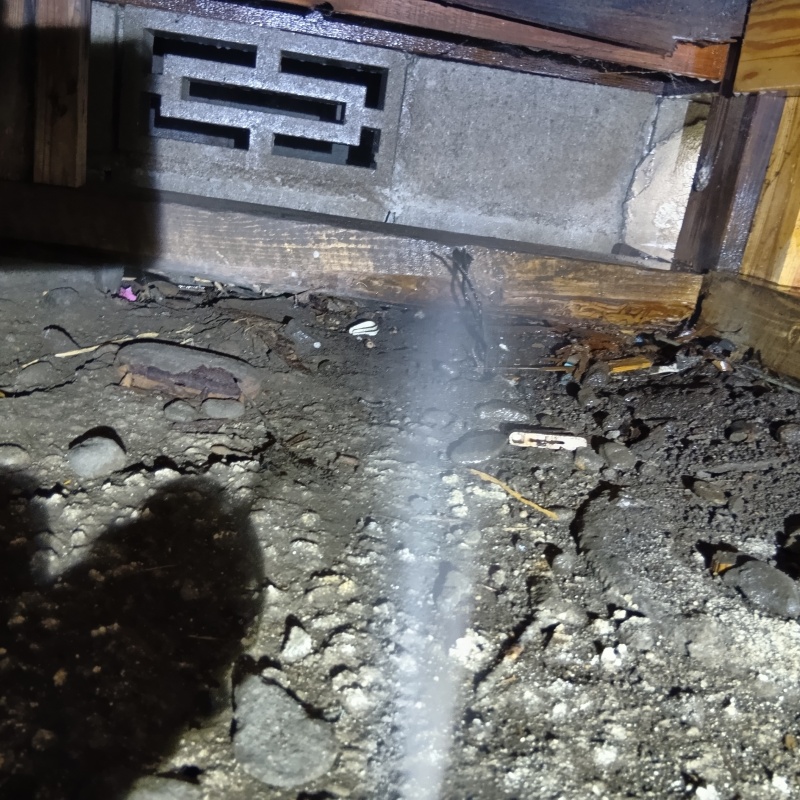 地面にシロアリ駆除剤を散布