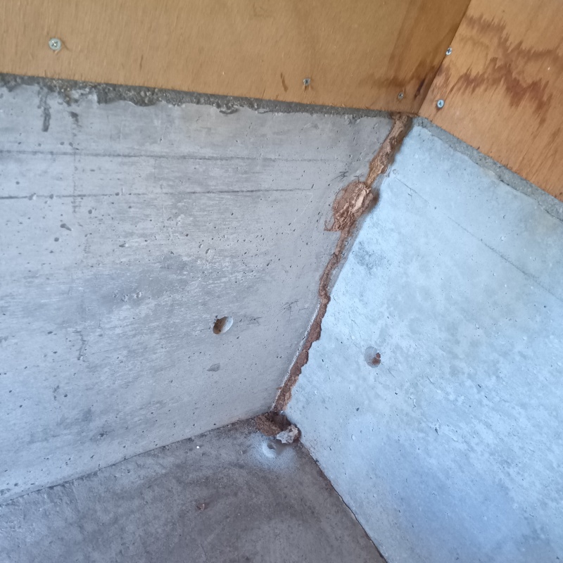 築年数20年のシロアリ駆除の施工事例（山口県山口市秋穂東）