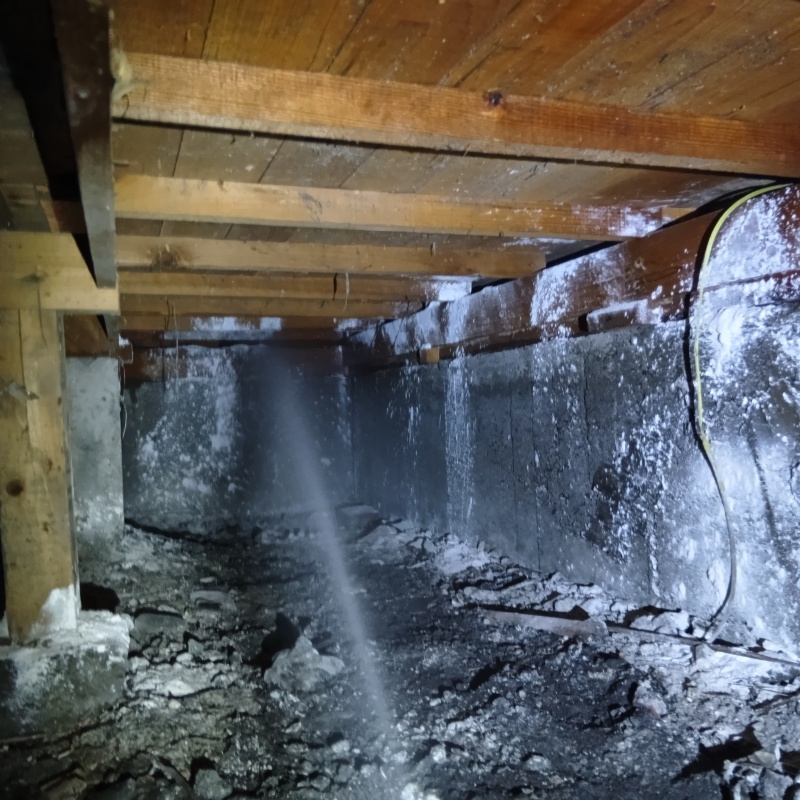 築年数50年のシロアリ駆除の施工事例（栃木県小山市）