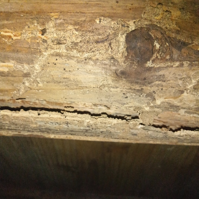 築年数45年のシロアリ駆除の施工事例（広島県庄原市門田町）