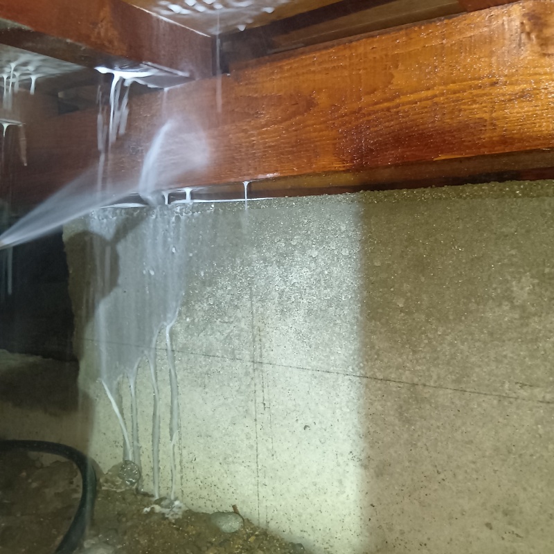 床下木材にシロアリ駆除剤を吹き付ける様子