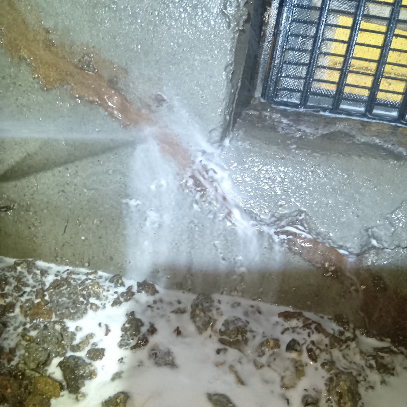 基礎にシロアリ駆除剤を散布