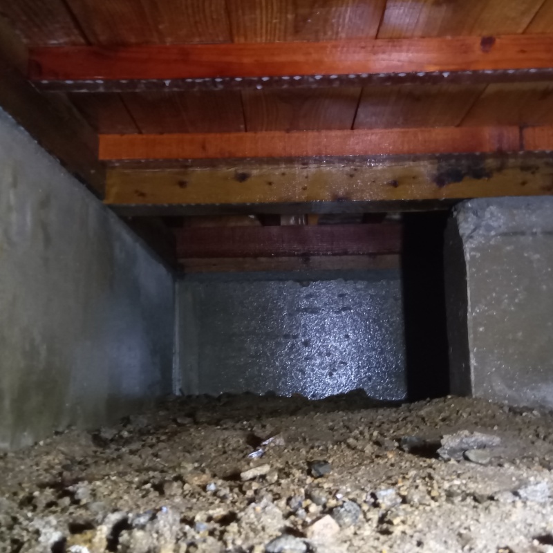 築年数40年のシロアリ駆除の施工事例（岡山県岡山市中区下）