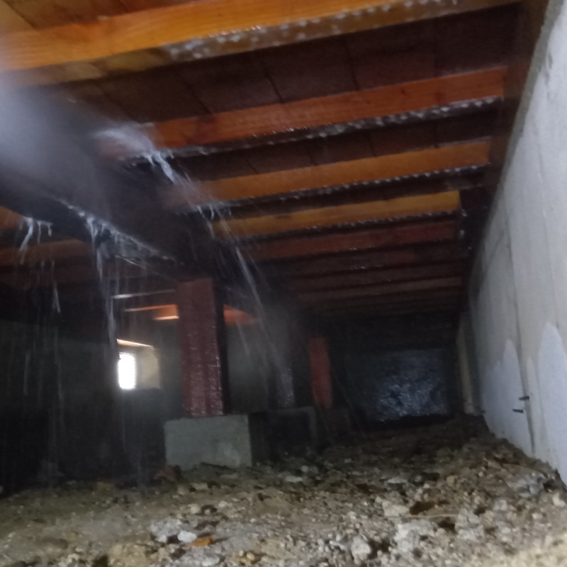 床下木材にシロアリ駆除剤を散布