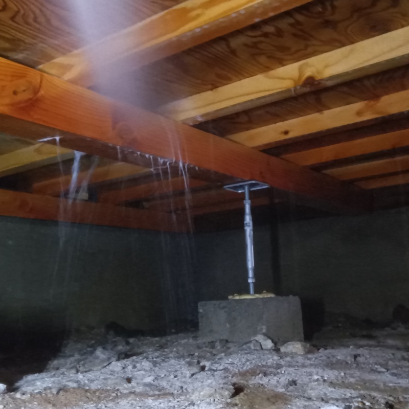 床下木材にシロアリ駆除剤を吹き付けている様子