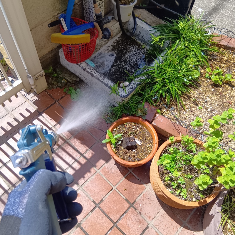 築年数37年のシロアリ駆除の施工事例（茨城県取手市藤代）