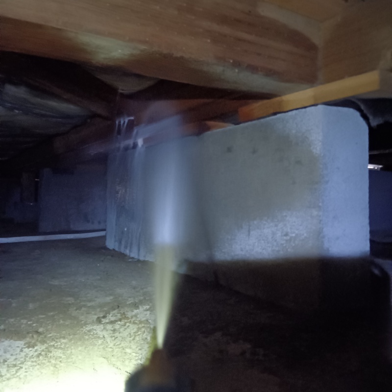 基礎にシロアリ駆除剤を吹き付ける様子