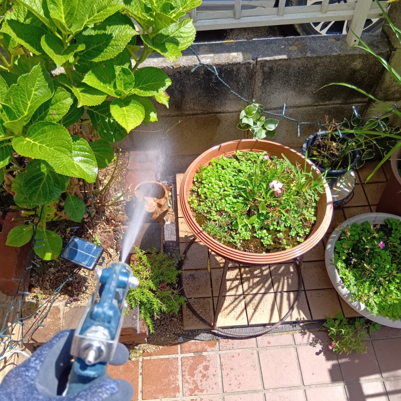 基礎まわりにシロアリ駆除剤を散布