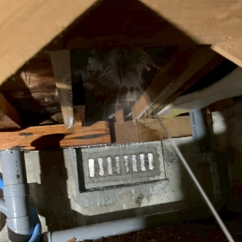 床下木材に防蟻剤を散布