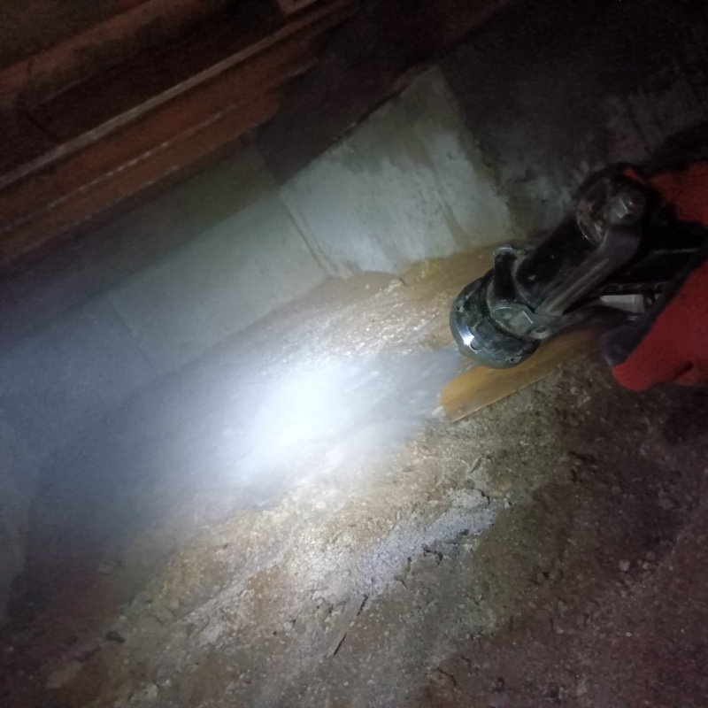 地面に防蟻剤を散布