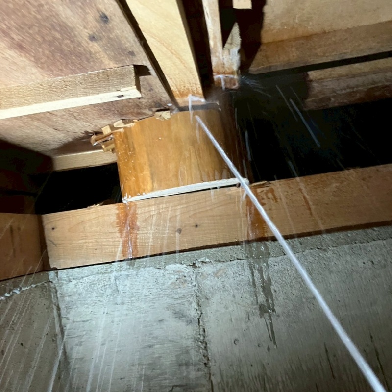 床下木材にシロアリ駆除剤を吹き付ける様子