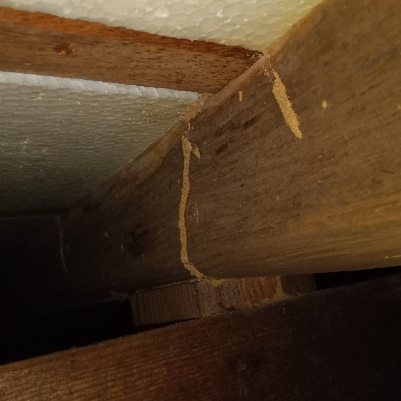 築年数45年のシロアリ駆除の施工事例（滋賀県草津市）