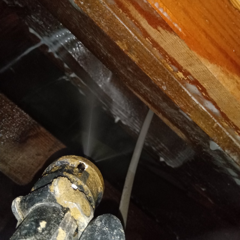 床下木材にシロアリ駆除剤を散布