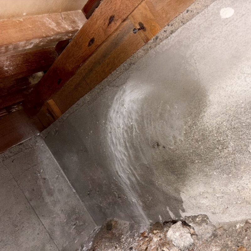 基礎にシロアリ駆除剤を散布