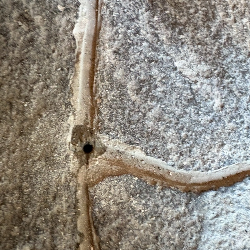 シロアリ駆除剤を注入するための穴を開けた様子