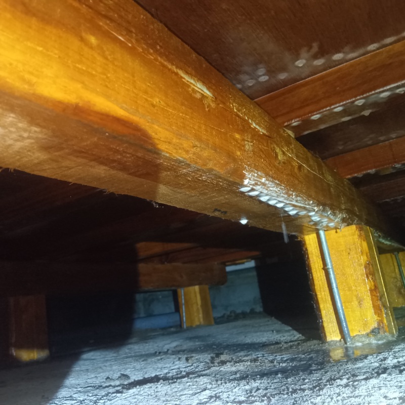 床下木材にシロアリ駆除剤を散布した様子