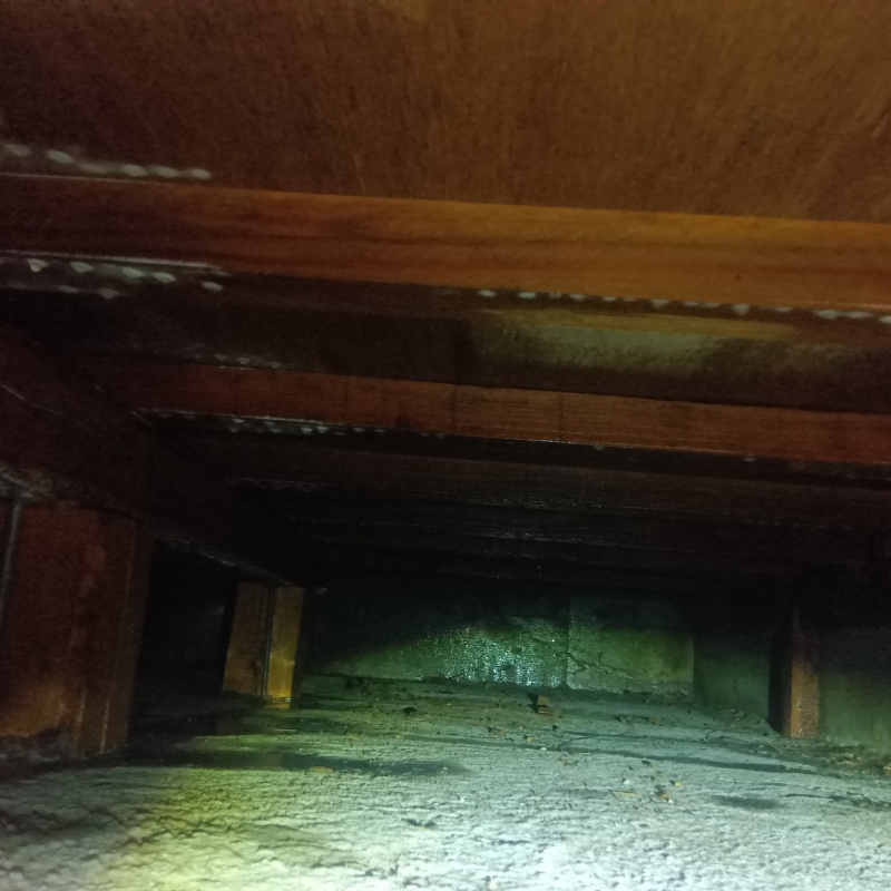 地面・基礎にシロアリ駆除剤を散布した様子