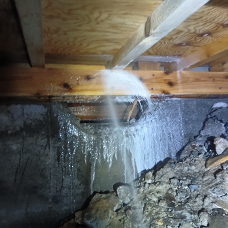 床下木材にシロアリ駆除剤を吹き付ける様子